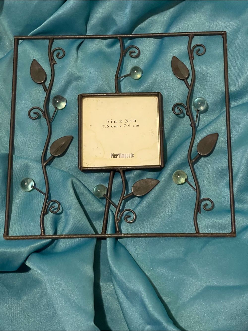 Pier 1 Metal Vine Photo Frame with Glass Accents